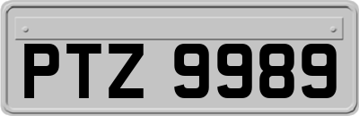 PTZ9989