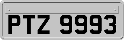 PTZ9993