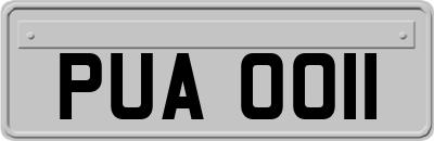 PUA0011