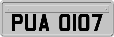 PUA0107