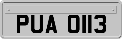 PUA0113