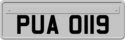 PUA0119