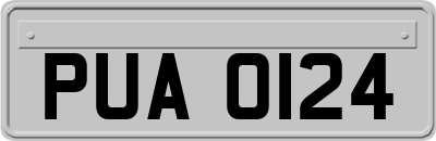 PUA0124