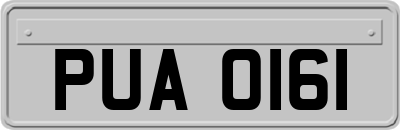 PUA0161