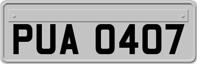 PUA0407