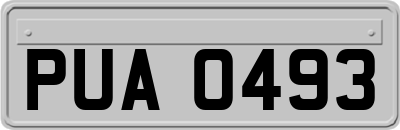 PUA0493