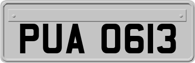 PUA0613