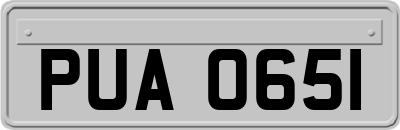 PUA0651