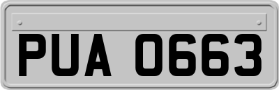 PUA0663