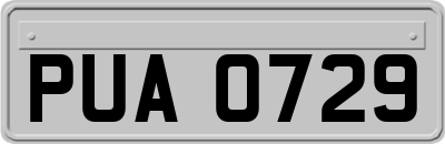 PUA0729