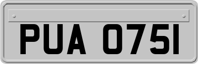 PUA0751
