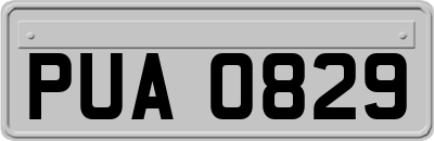PUA0829