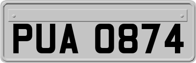 PUA0874