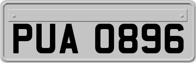 PUA0896