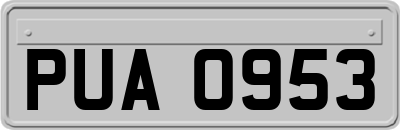 PUA0953