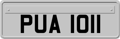 PUA1011