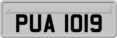 PUA1019