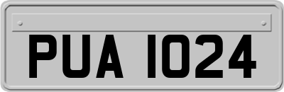 PUA1024