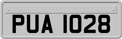 PUA1028