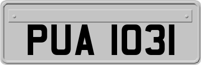 PUA1031