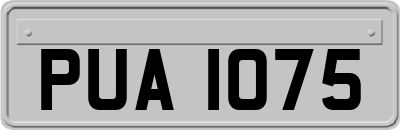 PUA1075