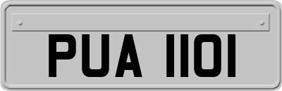 PUA1101