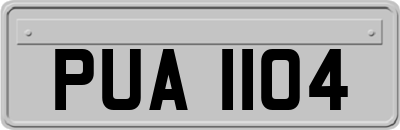 PUA1104