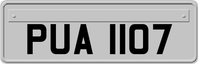 PUA1107