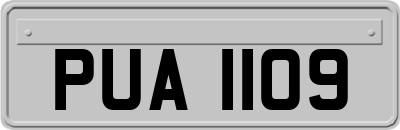PUA1109