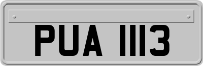 PUA1113