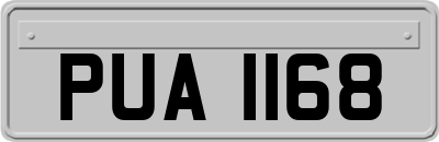 PUA1168