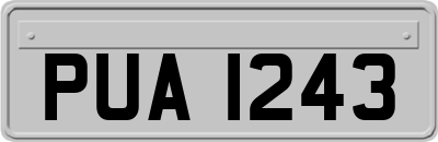 PUA1243