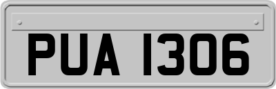PUA1306