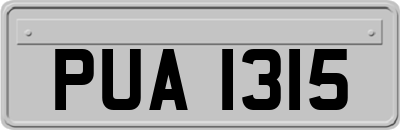 PUA1315