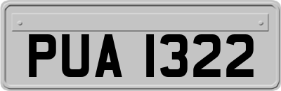 PUA1322
