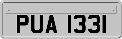 PUA1331