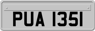 PUA1351