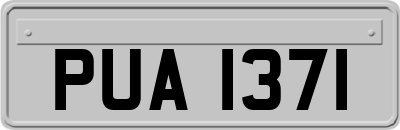 PUA1371