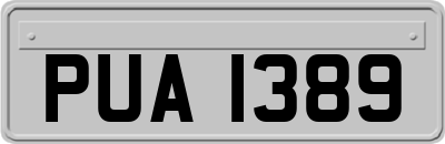 PUA1389
