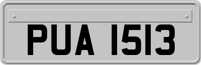 PUA1513