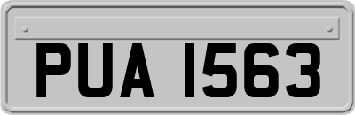 PUA1563