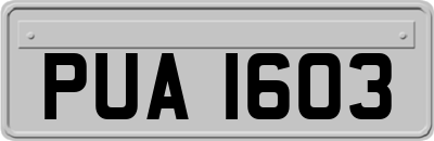 PUA1603