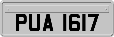 PUA1617