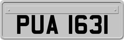 PUA1631