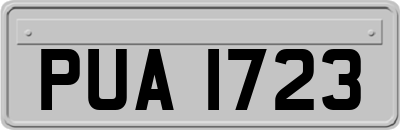 PUA1723