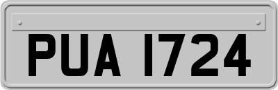 PUA1724