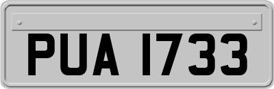 PUA1733