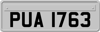 PUA1763