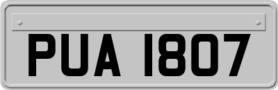 PUA1807