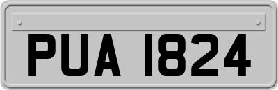 PUA1824